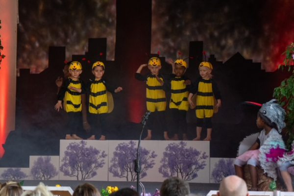 Blue Bird Primary Concert