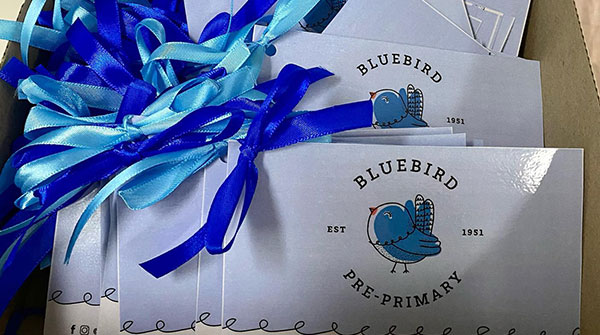 The Bluebird Branding Journey
