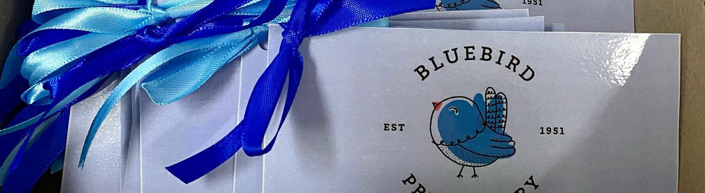The Bluebird Branding Journey