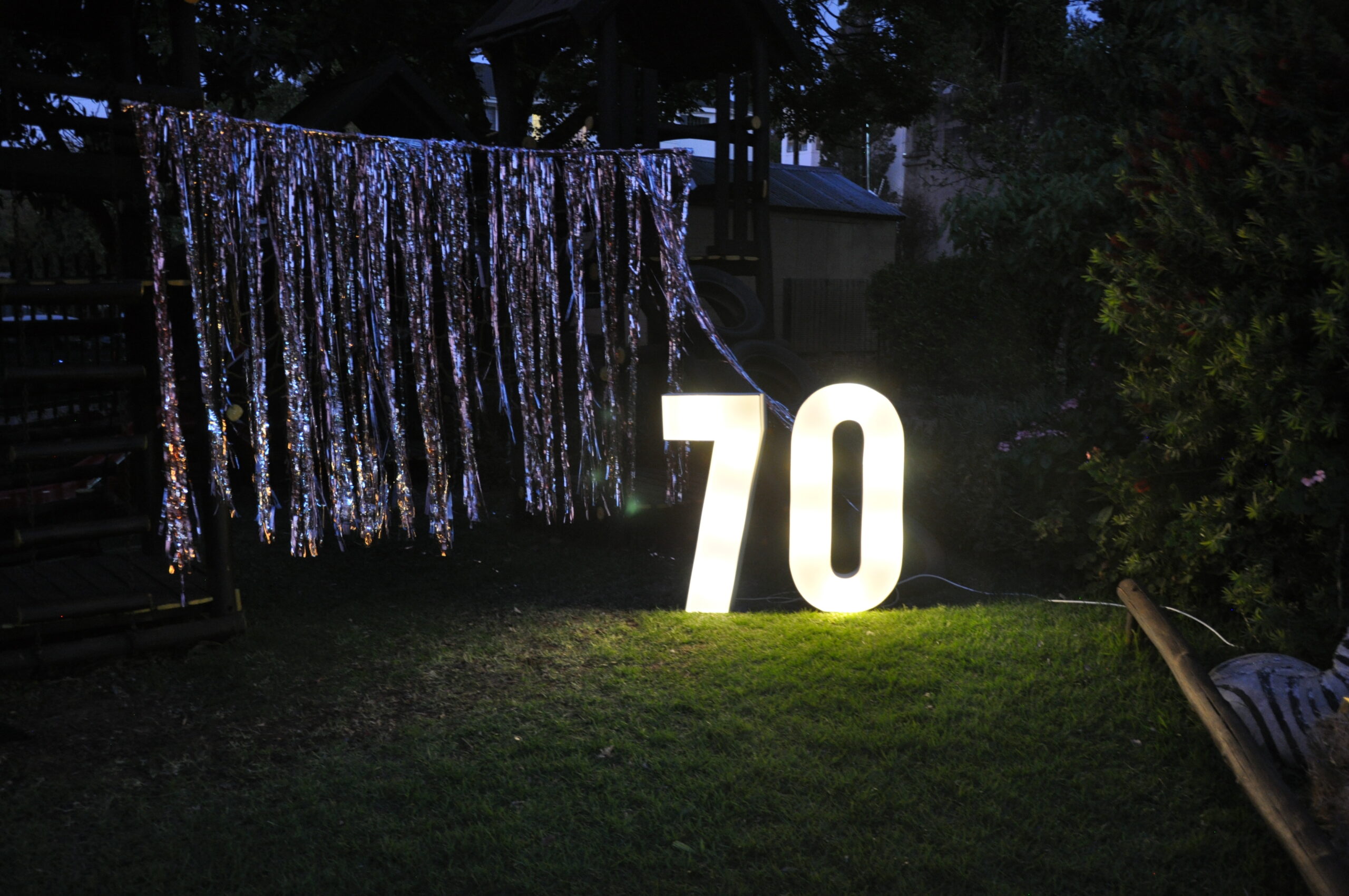 Bluebird 70th Birthday Celebration Cocktail Party